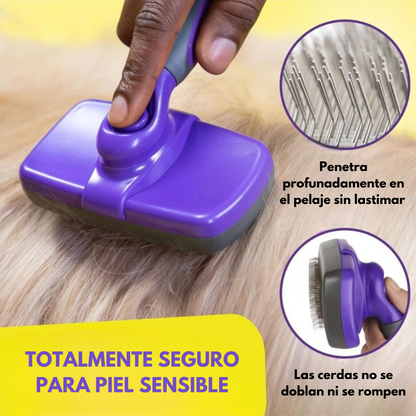 PetGroom Pro